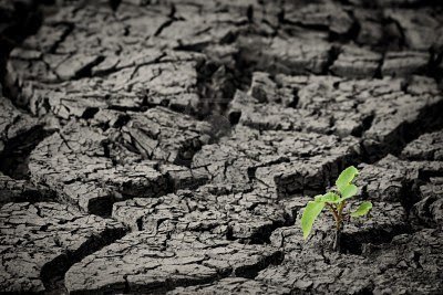 Argentina es una tierra de sobrevivientes