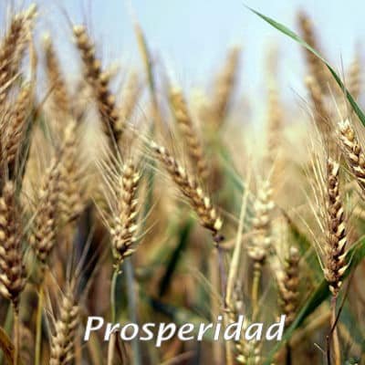 Prosperidad