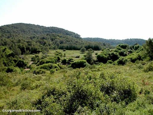 monte Carmelo, Nuestra Señora del Carmen